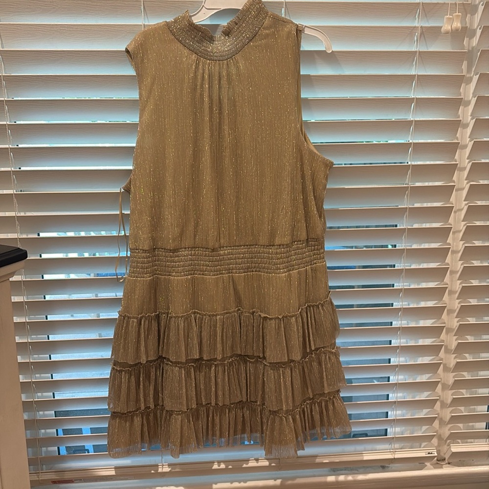 Express dress